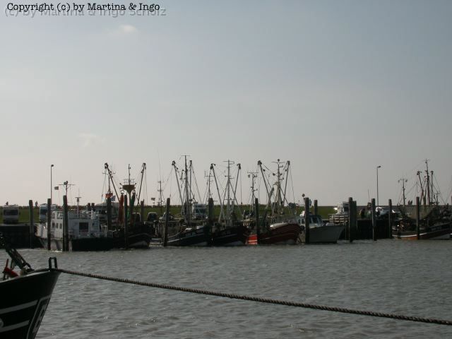 dscn0053.jpg - Der Hafen von Norddeich beherbergt gr��tenteils Fischerboote. Die F�hren auf die vorgelagerten Inseln fahren ein St�ck weiter n�rdlich ab.